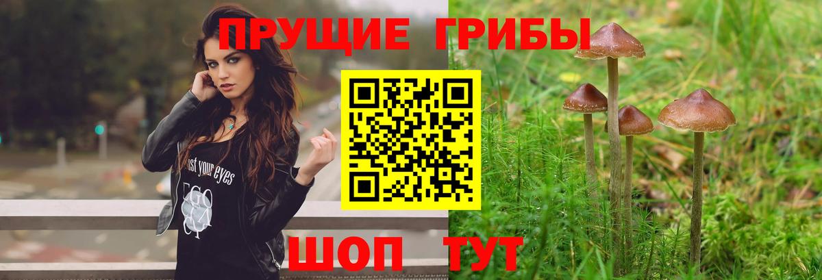 Галлюциногенные грибы прущие грибы  Вход с VPN  Псилоцибиновые грибы ЛСД  Химки 